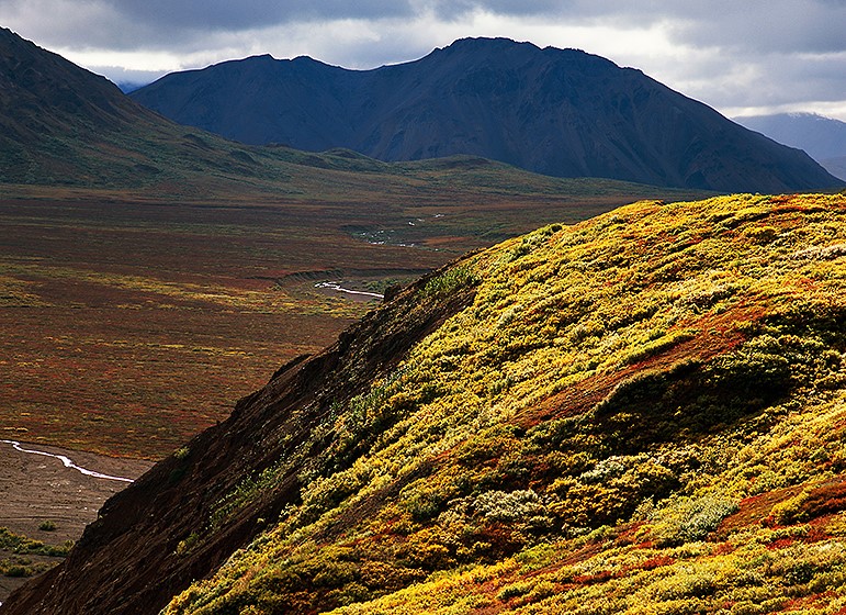RobertGKetchum's tweet photo. Denali: Crown Jewel of Our National Parks by Robert Glenn Ketchum https://t.co/7EHPxsDzQ3 https://t.co/bYnPwmTSsB