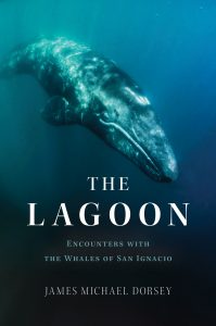 agingexplorer's tweet image. The LAGOON is a perfect Christmas Gift for anyone who loves the ocean, especially whales.  Available from all major booksellers.