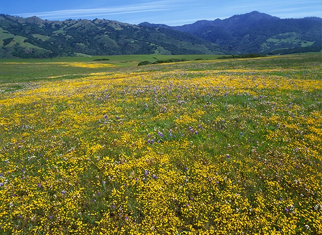 RobertGKetchum's tweet photo. The Piedras Blancas Ranch and San Simeon by Robert Glenn Ketchum
https://t.co/RSNoRmjtve https://t.co/T06u0IKceV