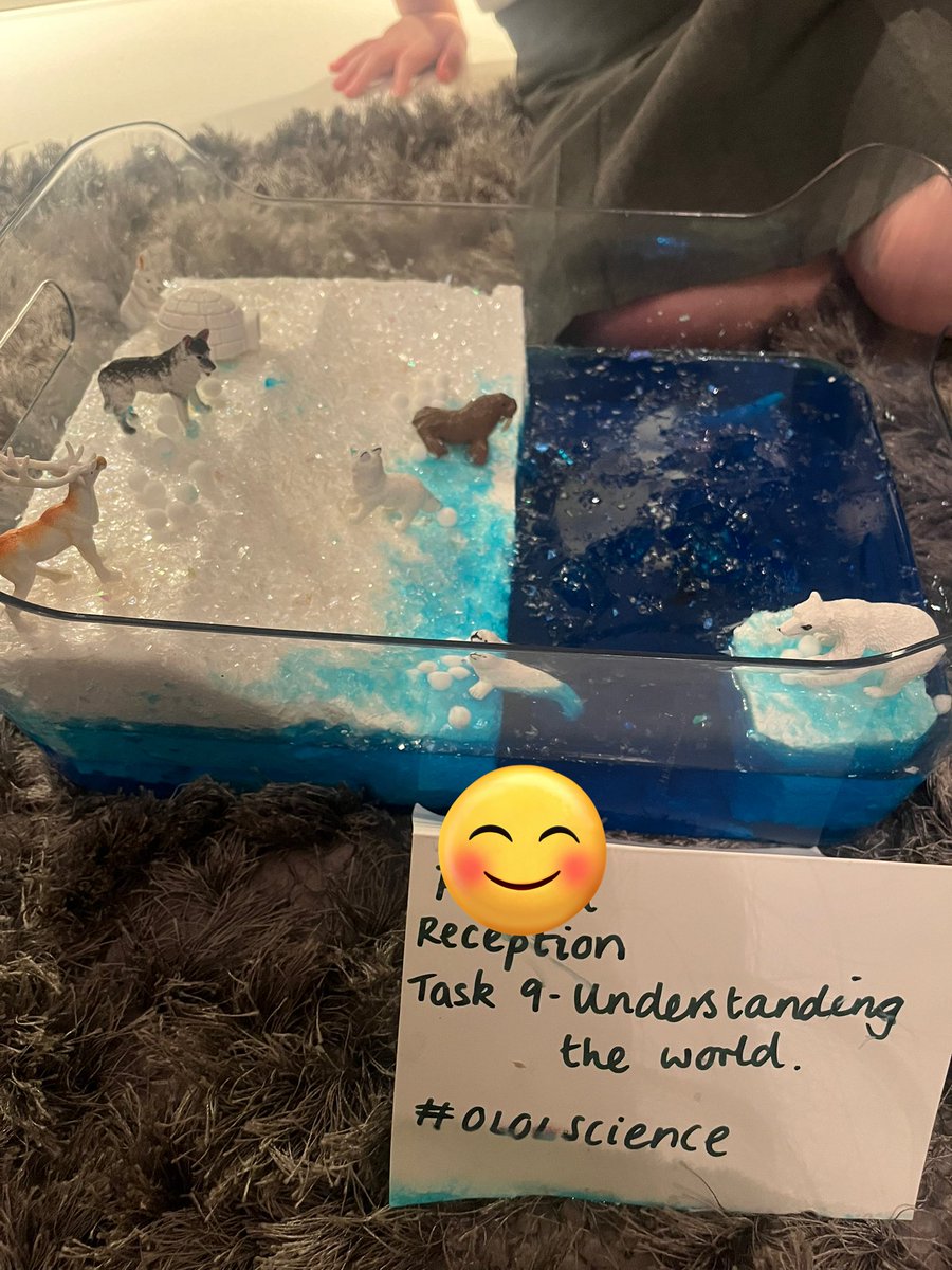 parentOLOL2023's tweet image. F from R has completed her Arctic habitat for #Task9 of the #OLOLHomeworkChallenges 
She really enjoyed learning about the different animals in this climate and obviously getting messy with jelly! @ourladyoflourd1