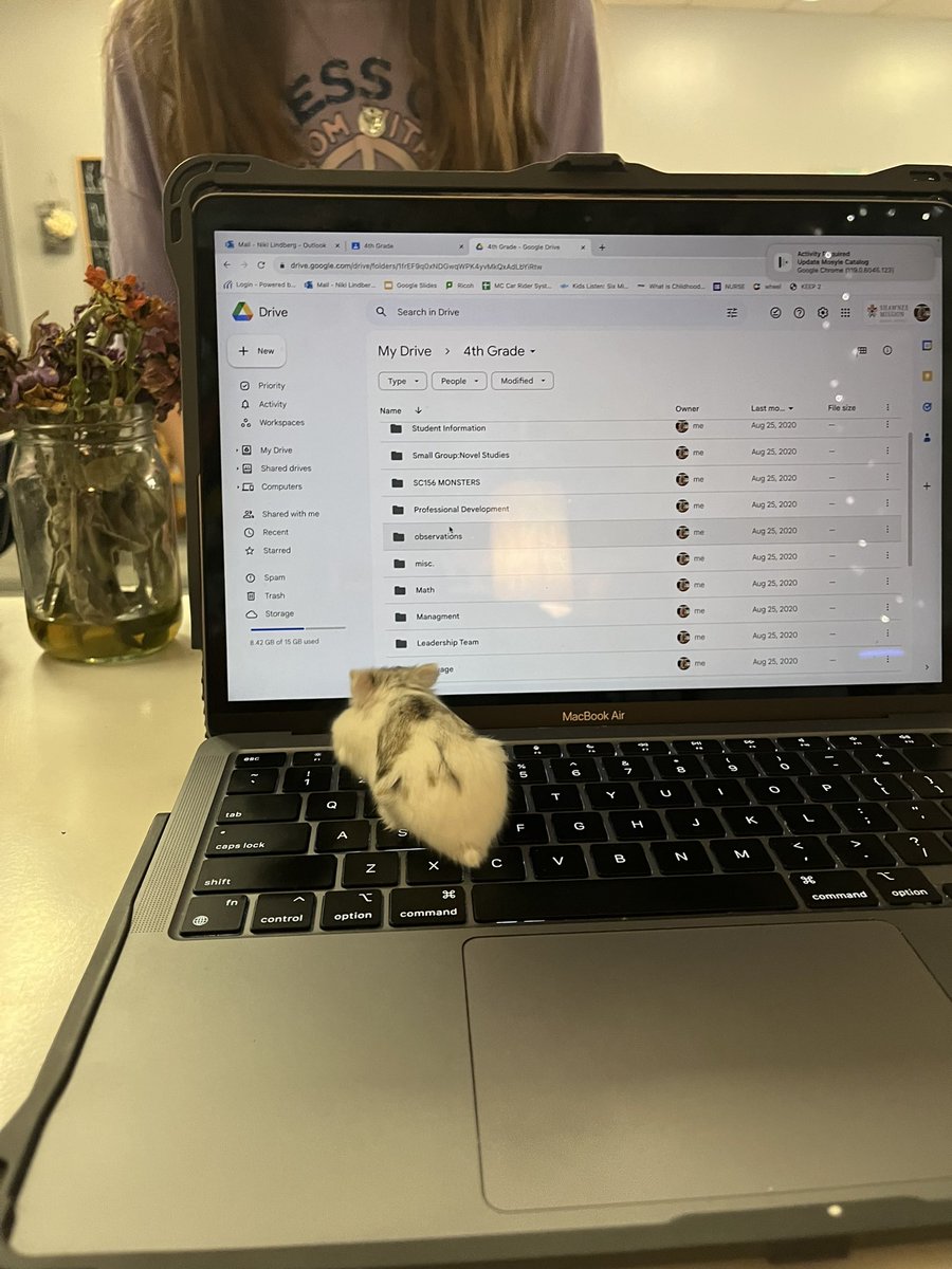 LindbergNiki's tweet photo. Take your hamster to work day 🐹- hard at work answering emails @MillCreek512 @MillCreekLxPTA @theSMSD @TOvertonteach https://t.co/HpfTgjgEn7
