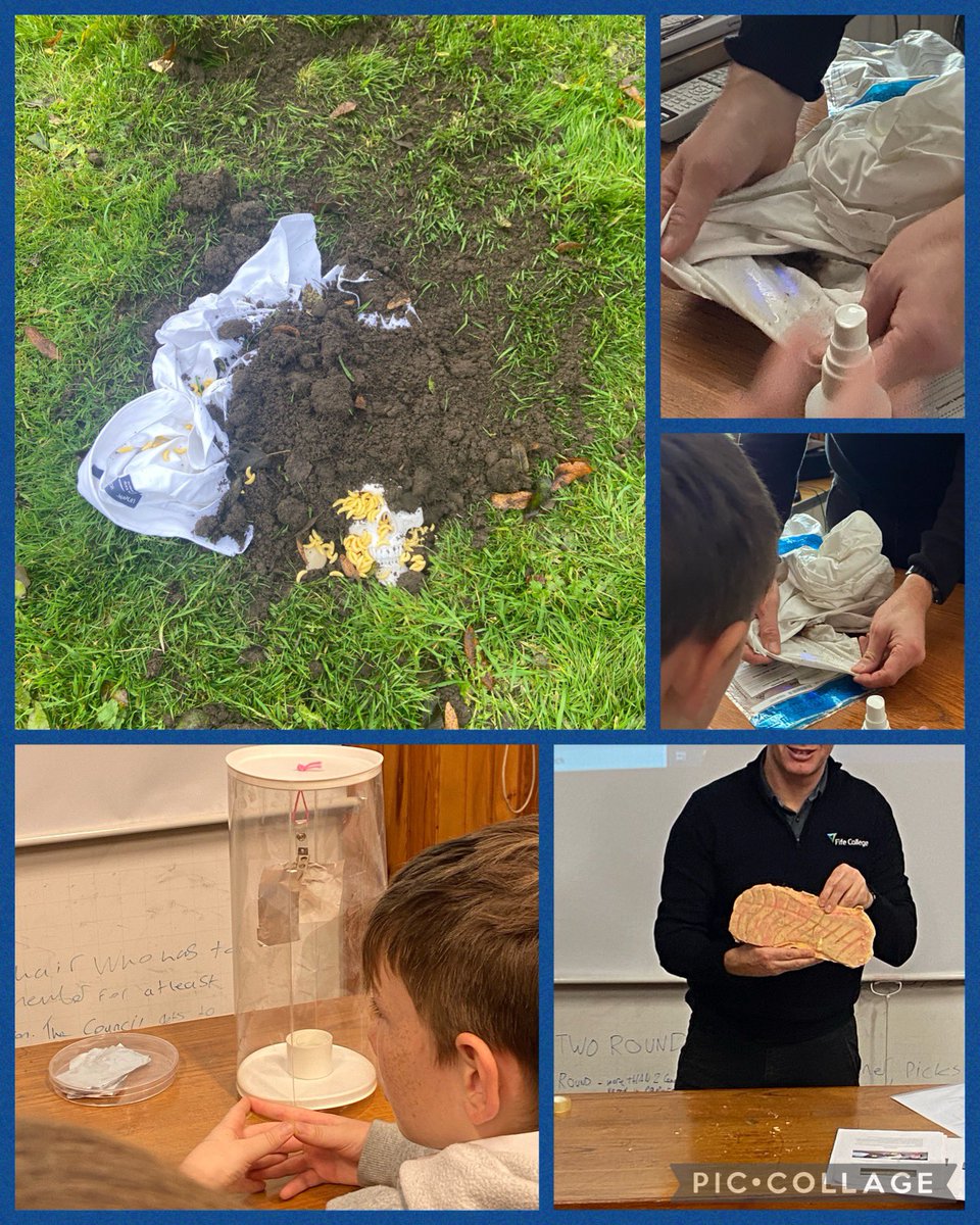 Balwearie Modern Studies (@balweariemods) on Twitter photo Some S2 CSI pupils were investigating the discovery of some suspicious items on <a href="/BalwearieHigh/">Balwearie High</a> grounds this morning 😲Thanks so much to Dr Spears from <a href="/ScienceFife/">Science Fife College</a> <a href="/fifecollege/">Fife College</a> for planning a fantastic input & giving up his time on 3 occasions so all CSI pupils benefit <a href="/BHS_DYW/">Balwearie DYW</a> Some S2 CSI pupils were investigating the discovery of some suspicious items on <a href="/BalwearieHigh/">Balwearie High</a> grounds this morning 😲Thanks so much to Dr Spears from <a href="/ScienceFife/">Science Fife College</a> <a href="/fifecollege/">Fife College</a> for planning a fantastic input & giving up his time on 3 occasions so all CSI pupils benefit <a href="/BHS_DYW/">Balwearie DYW</a>