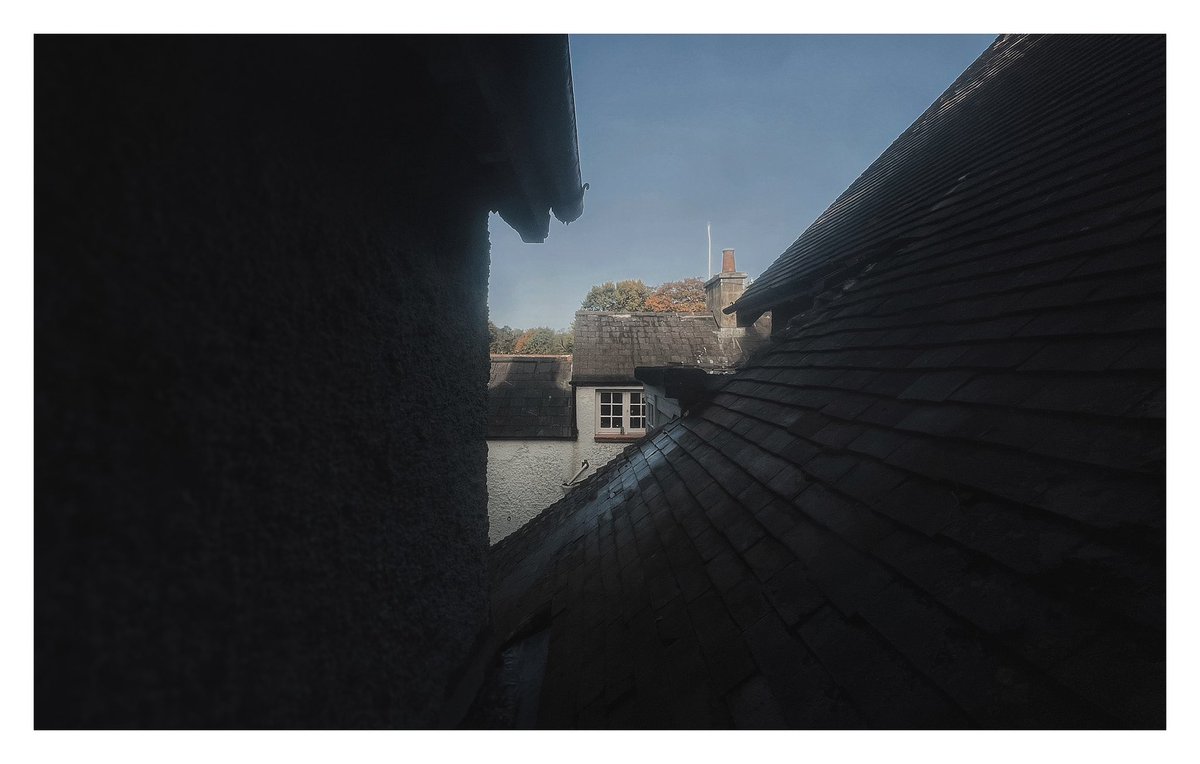 Conor Flannery (@conor_flannery) on Twitter photo 