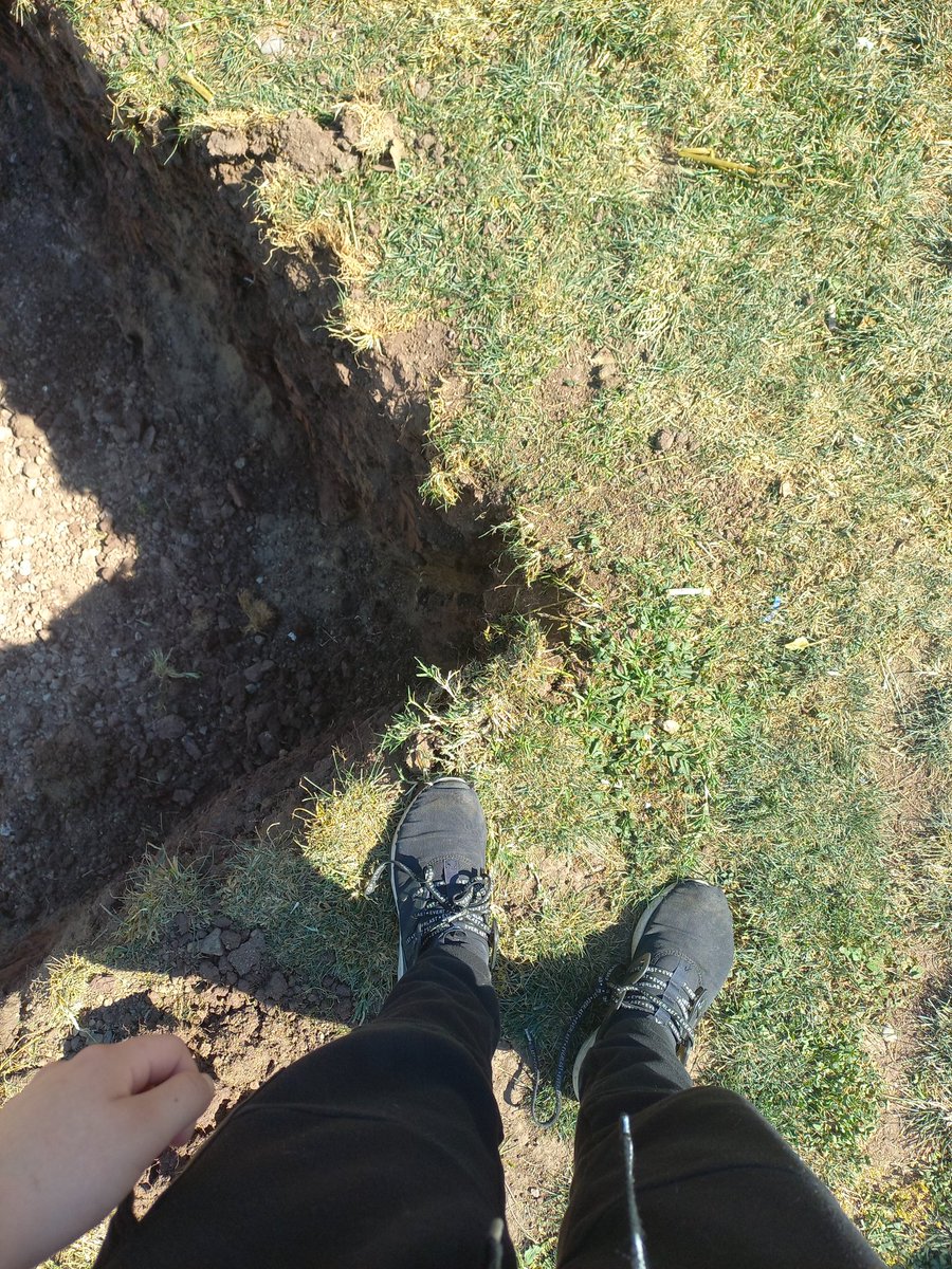 AlkaloidWonder's tweet image. I just got home and someone deleted a fucking chunk out of my yard with world edit I'm so mad