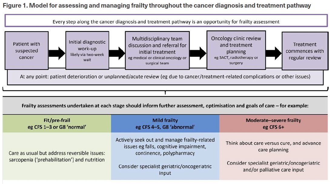 nicolobattisti's tweet photo. 📢 Hot off the press

The @RCPhysicians @RCRadiologists JCCO guidance on frailty assessment and management in oncology services is now available here: https://t.co/ckjeapMpHe

Soon to be presented also at #SIOG2023

#gerionc https://t.co/bMABjw8m2h