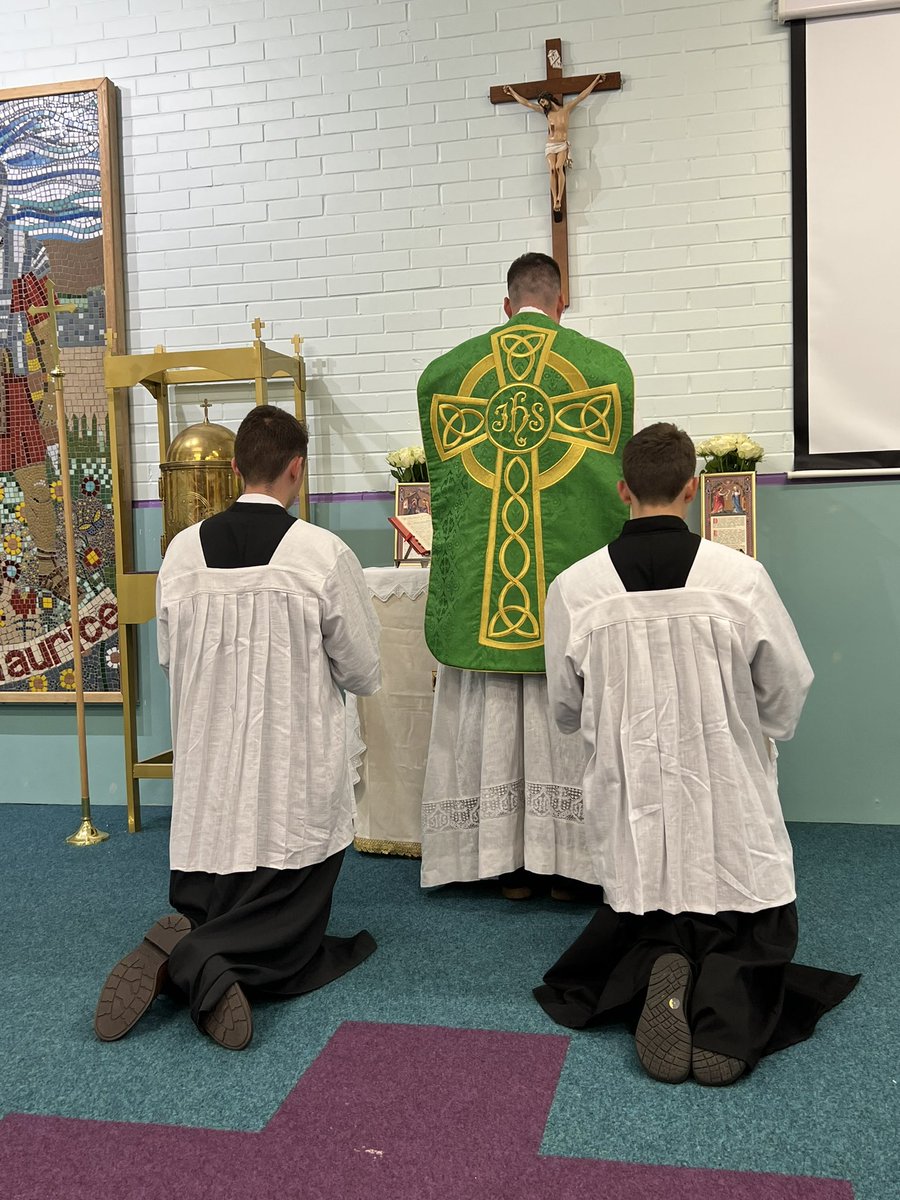 Margaret armour (@x12mom) on Twitter photo Fr. Caleb Armour will offer non una cum Mass in Ireland on Sunday Nov. 12 in the Patrician community centre, Patrician Villas, Stillorgan, Dublin, Ireland.Confessions will start at 4:45 pm and Mass 6:30 pm.
Father’s contact : Tel: +44 7867554252
Email: Fr.CalebArmour@outlook.com Fr. Caleb Armour will offer non una cum Mass in Ireland on Sunday Nov. 12 in the Patrician community centre, Patrician Villas, Stillorgan, Dublin, Ireland.Confessions will start at 4:45 pm and Mass 6:30 pm.
Father’s contact : Tel: +44 7867554252
Email: Fr.CalebArmour@outlook.com