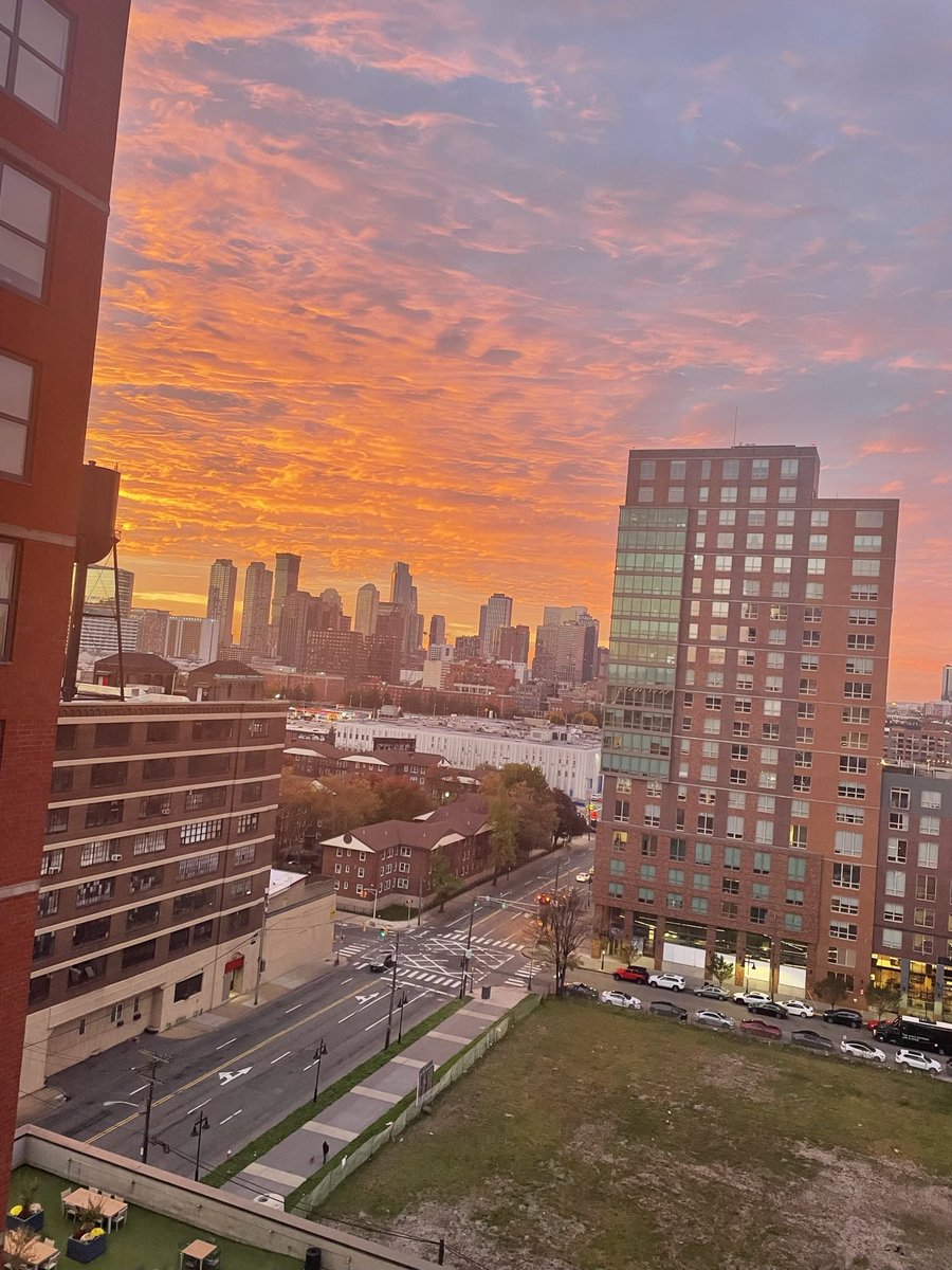 msdock2's tweet image. Gm