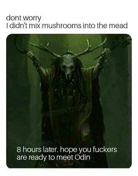 APsychedelics's tweet photo. 8 hours later 😂🍄 https://t.co/XczgjKFG8r