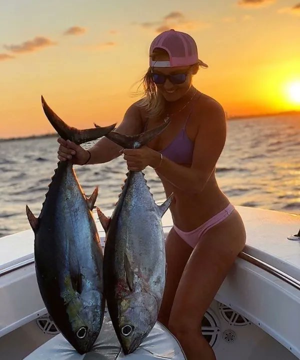 Fishingsoul6's tweet photo. Fishing very beautiful ❤️

#fishing #fishinglove #fishing #life #very #beautiful #fishinglovers https://t.co/eMT8KcL10K