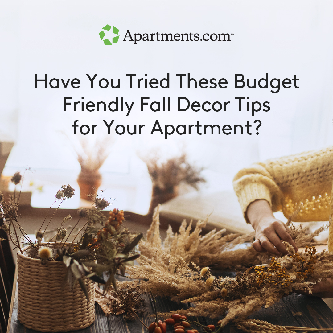 From adding fall scents to DIY wreaths, get ready to be inspired by these seasonal apartment decor tips: bit.ly/49kvxVc