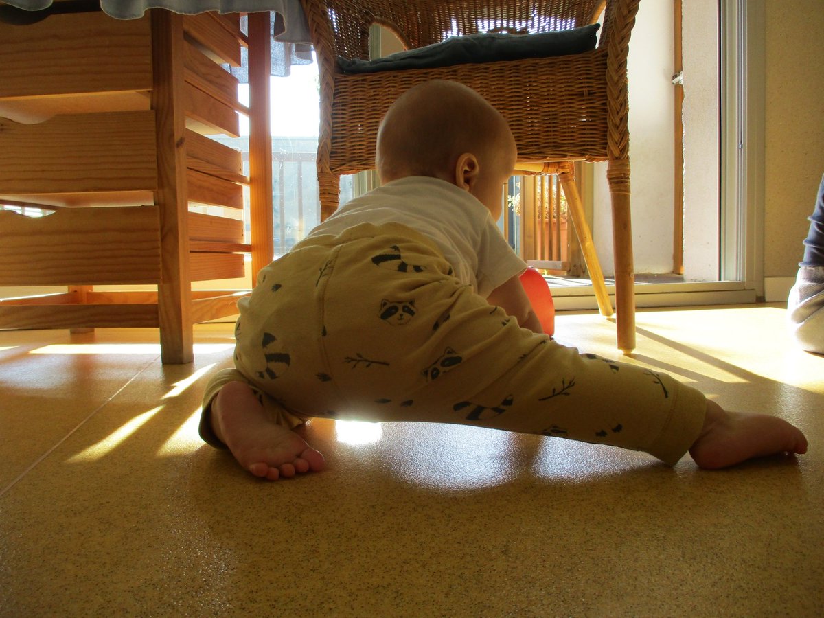 cavallcartroedu's tweet photo. 👶🏼Què és això del moviment lliure?
És la teoria de la pediatra Emmi #Pikler en la que defensa que, a través del moviment espontani i autònom, els infants descobreixen les possibilitats del seu propi cos i de l’entorn que els envolta, sense necessitar la intervenció de l’adult. https://t.co/gjlJ6LB3hg