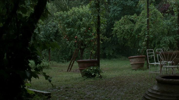 visionsinfilm's tweet image. mentally, i’m here