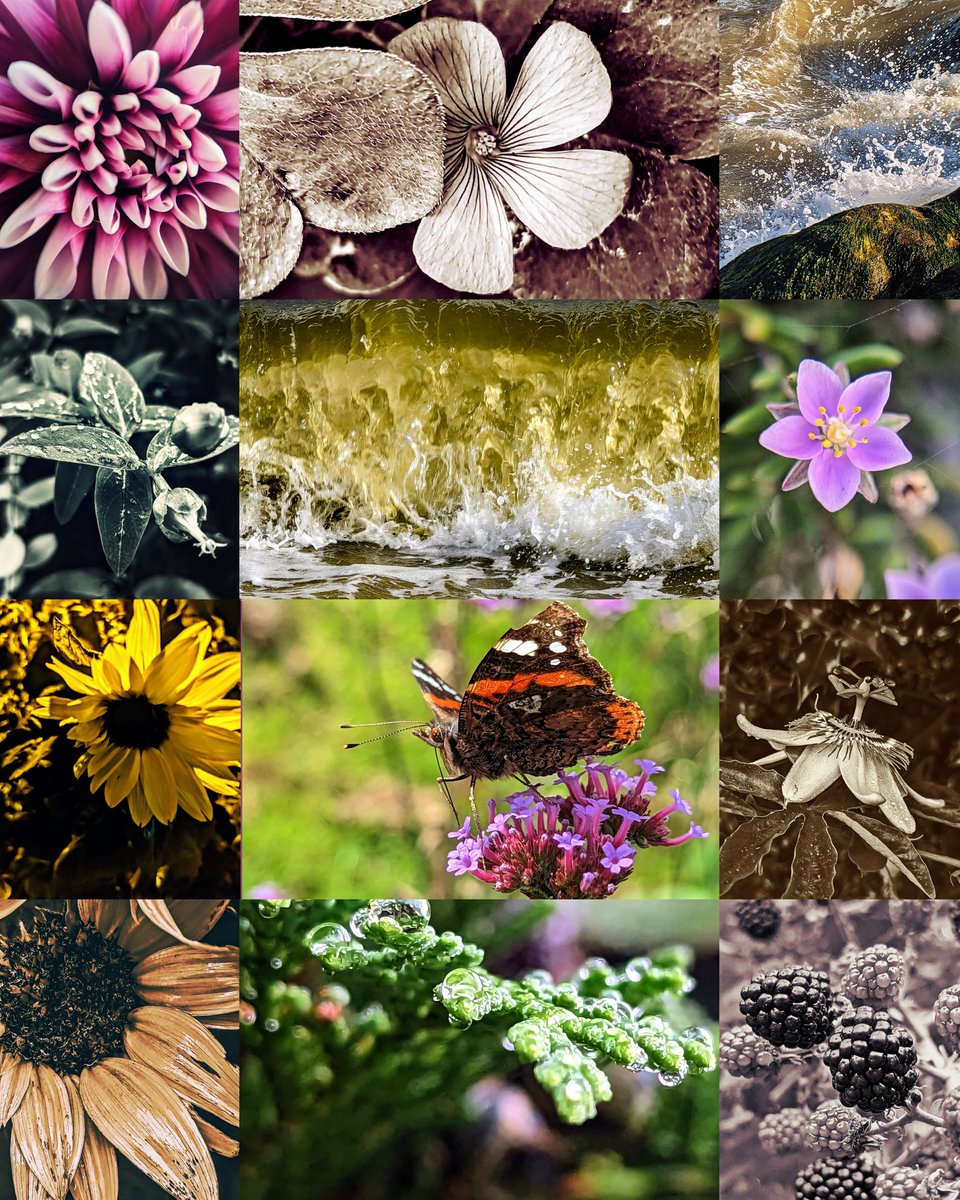 📷Presenting my 1/1 Photography📷 

🌸On #objktcom 🌸

🪙 1 $XTZ primary for 1/1 😲
🔥 Secondary listings available 🔥

🖼️ 98 items and growing 📷
🫂 24 owners ❤️
📈 58 $xtz total volume

🔗 Link in the comments 🔗