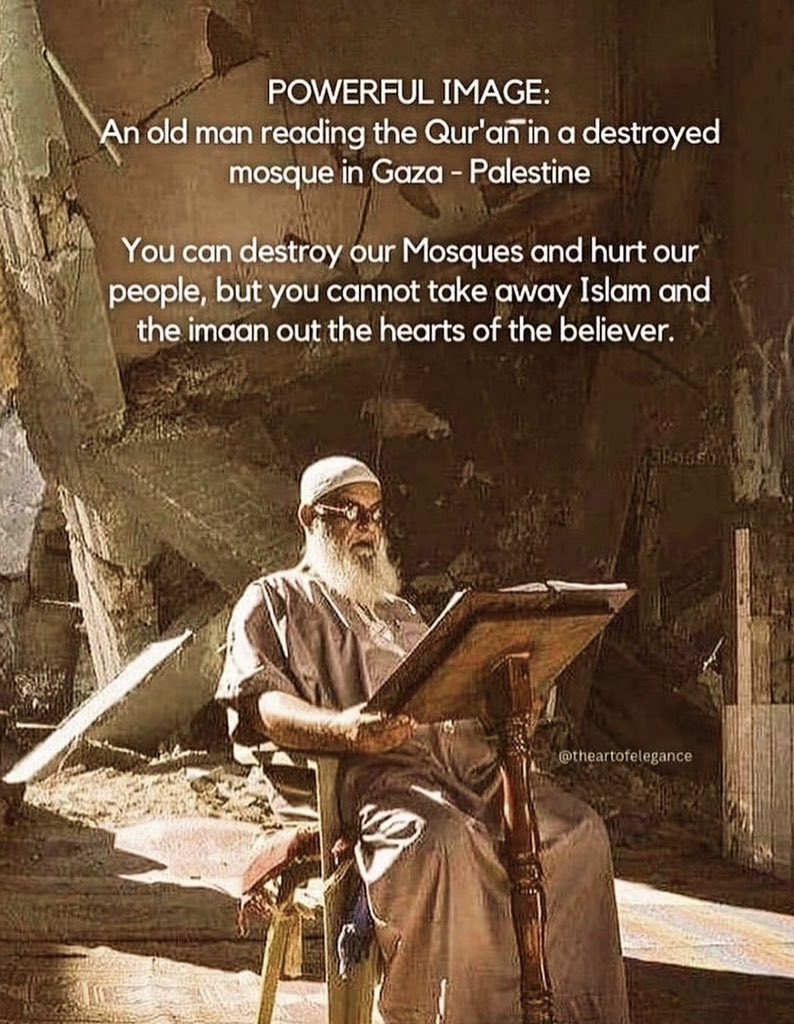 Free Palestine 🇵🇸