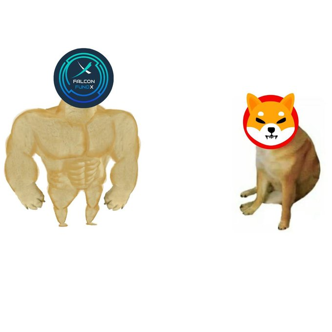 FalconFundX's tweet photo. No #memecoin can overpower the #power of $FFX https://t.co/l3tNTUscD1