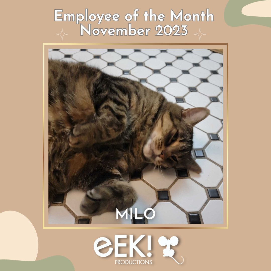 eekprod's tweet image. November's days may be getting shorter, but our Employee of the Month's excellence is limitless!

Join us in congratulating our November employee of the month, Milo.

#employeeofthemonth #november #eekproductions