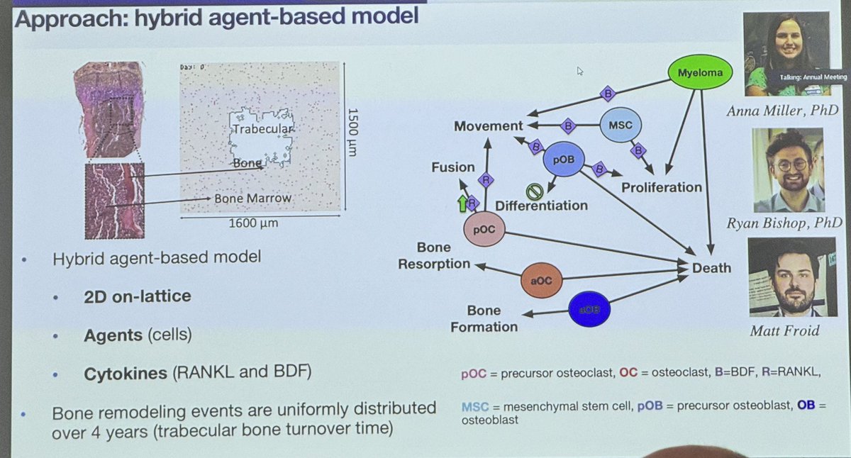 ara_anderson's tweet photo. Fantastic @MoffittNews double act from @conor_ie &amp; @dbasanta presenting, The Role of the Bone Microenvironment in Multiple Myeloma Relapse and the Emergence of Resistance to Proteasome Inhibitors  #CSBCPSON23 @mathonco https://t.co/rIPCQXDyJq