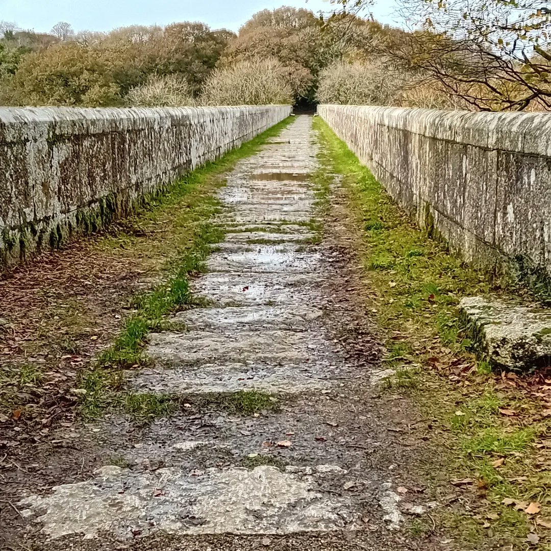 collings21's tweet photo. A wander around the gorgeous Luxulyan valley today #History #treffry #viaduct #woodlands https://t.co/1FHOxv5Niz