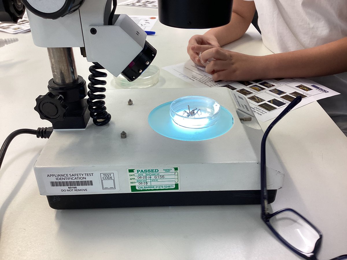 KensingPrimary's tweet image. #spookyscience year 6 #universityofliverpool