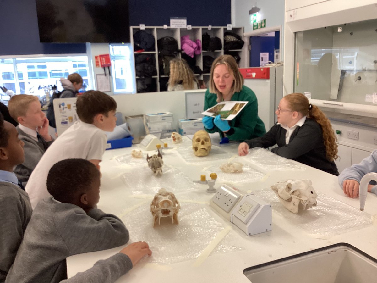 KensingPrimary's tweet image. #magicpotions #spookyscience #lifesciences year 6 @universityofliverpool #livuniismib #livuniengagehls