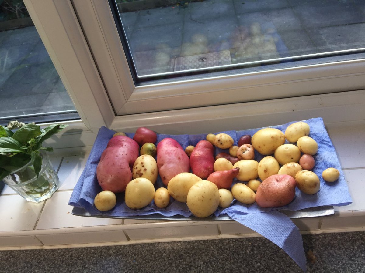 serving homegrown realness! look what our amazing gardening group have dug up.
#mentalheath #lgbtcharity
