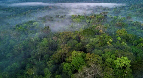 La <a href="/CONANP_mx/">CONANP</a> publicó estudios para crear nuevas #ANP 
1)Manglares de Pto. Morelos (QRoo).
2)Lago Tláhuac-Xico (CDMX y Edomex) 
3)Canoas (Col)
4)Playa Chenkan (Cam)
5)Ríos y mont Comarca Lagunera (Coahuila)
6)Sierra de Vallejo-Río Ameca (Nayarit y bit.ly/3u6UNOE