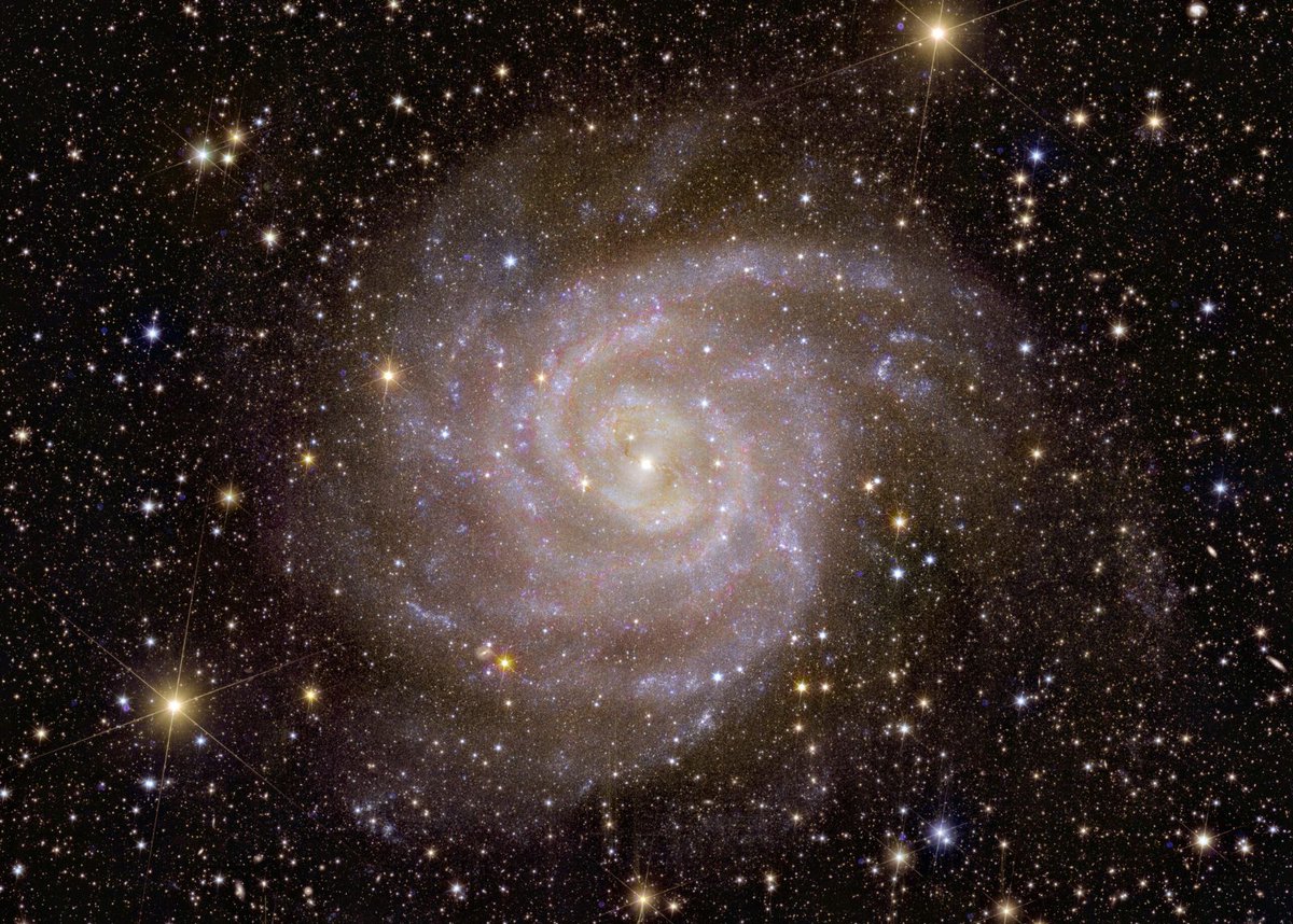 LaStatale's tweet photo. Le prime spettacolari immagini dell'Universo invate dal telescopio #Euclid. Cinque foto del cosmo a colori, con una risoluzione che sfiora l’incredibile. Sono le prime immagini arrivate dal #telescopio spaziale @EuclidItalia. Scopri di più 👉https://t.co/Pv5z0YAluu https://t.co/5y0MsBAOUx