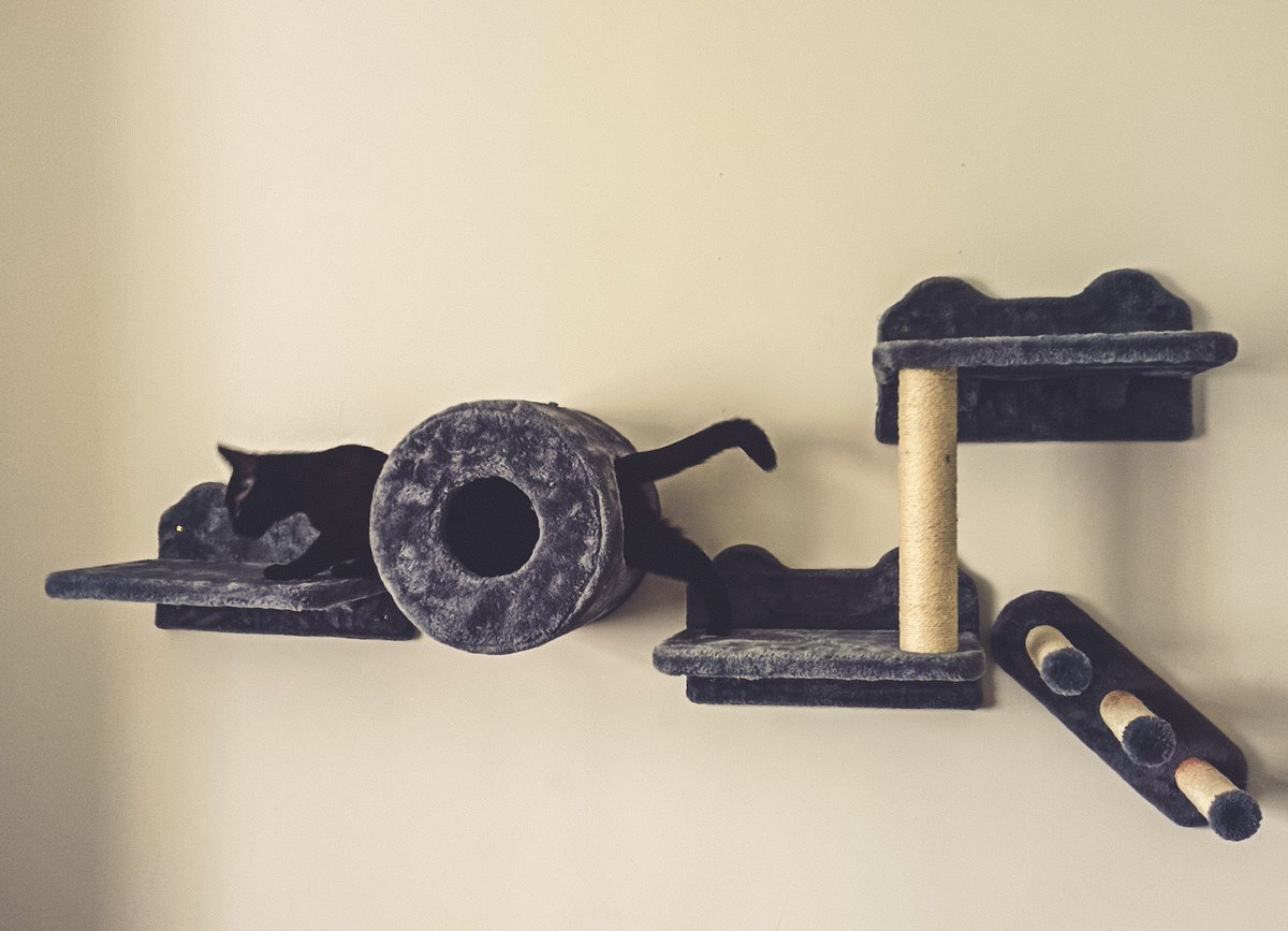 Andy Reeve tweet media