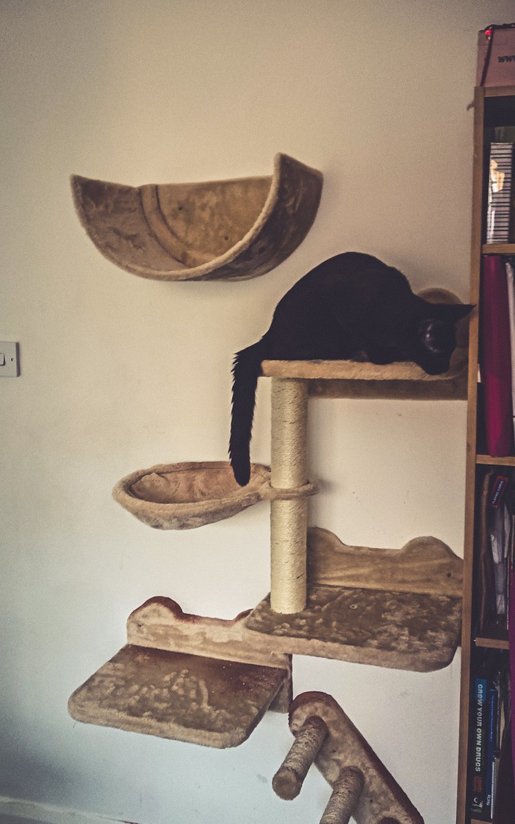 Andy Reeve tweet media