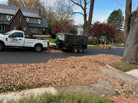 TS_Landscaping's tweet photo. 🍁🌱 Leaf clean-up job in progress by TS Landscaping! 🌿✨
Our team is working hard to make your surroundings look pristine.
Need a fall refresh? Contact us today! 
#LeafCleanup #TSLandscaping #ProfessionalService #RoanokeVA #SalemVA #FallLeaves #FallReady https://t.co/lIu2lQ6Yxt