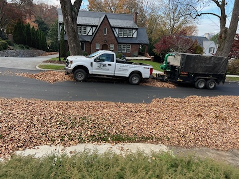 TS_Landscaping's tweet photo. 🍁🌱 Leaf clean-up job in progress by TS Landscaping! 🌿✨
Our team is working hard to make your surroundings look pristine.
Need a fall refresh? Contact us today! 
#LeafCleanup #TSLandscaping #ProfessionalService #RoanokeVA #SalemVA #FallLeaves #FallReady https://t.co/lIu2lQ6Yxt