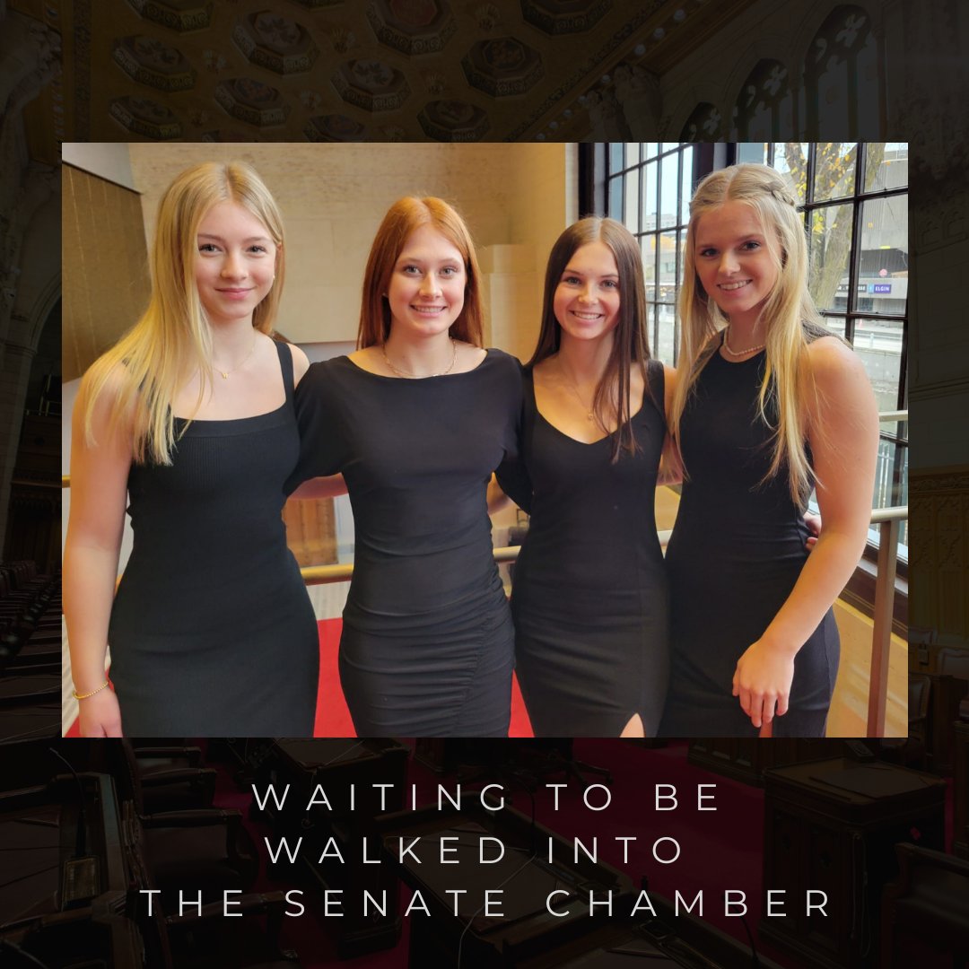 Team Plett tweet media