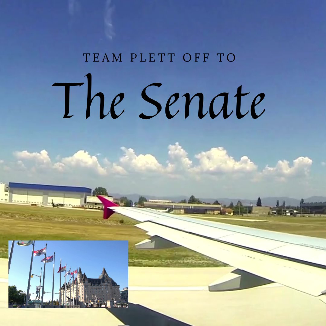 Team Plett tweet media