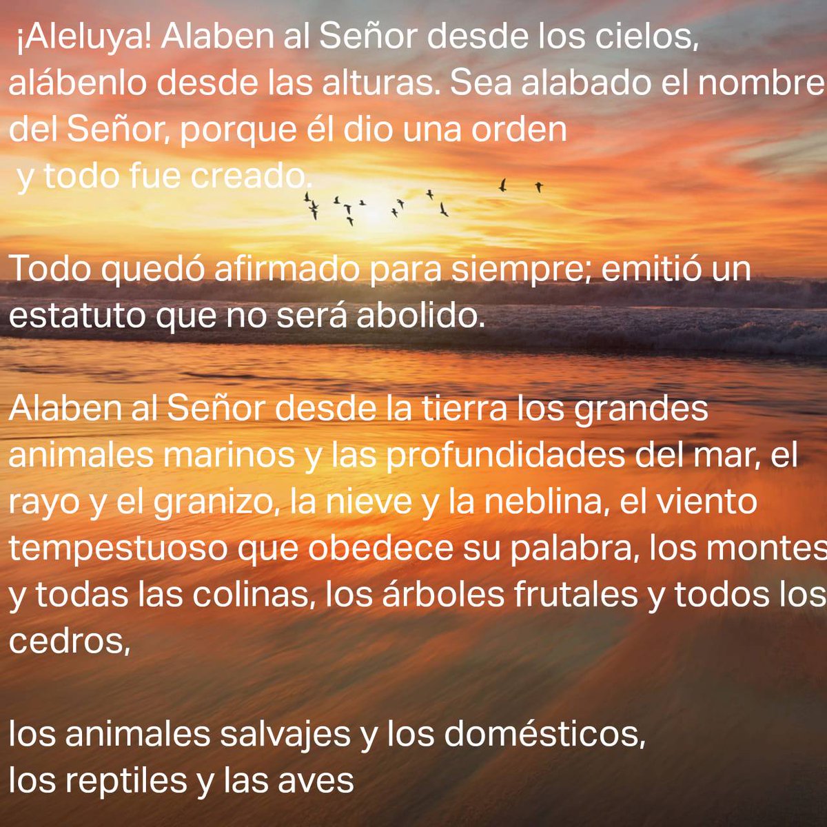 Salmo 148:1 NVI
[1] ¡Aleluya! Alaben al Señor desde los cielos, alábenlo desde las alturas.
[5] Sea alabado el nombre del Señor, porque él dio una orden y todo fue creado. Alaben al Señor desde la tierra