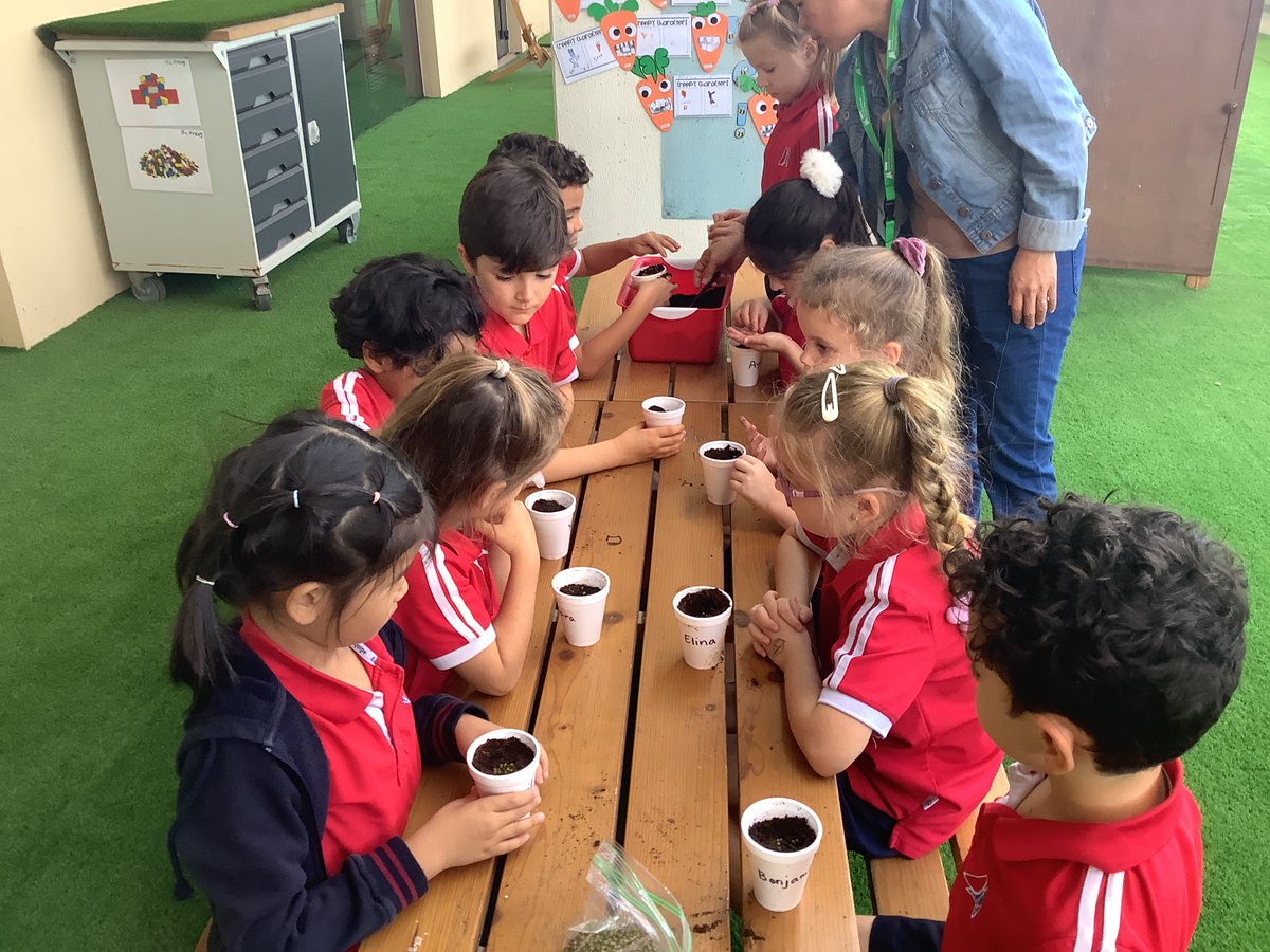 PatrawalaFreny's tweet image. Here&apos;s to many more green thumb moments in our classroom! 🌿🌼 
#KindergartenGardeners #PlantingSeedsOfKnowledge #TeachingWithLove