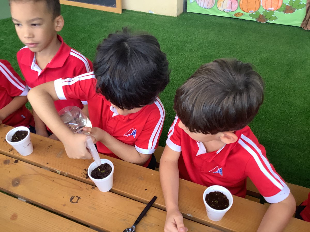 PatrawalaFreny's tweet image. Here&apos;s to many more green thumb moments in our classroom! 🌿🌼 
#KindergartenGardeners #PlantingSeedsOfKnowledge #TeachingWithLove