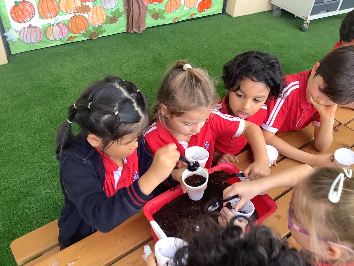 PatrawalaFreny's tweet image. Here&apos;s to many more green thumb moments in our classroom! 🌿🌼 
#KindergartenGardeners #PlantingSeedsOfKnowledge #TeachingWithLove