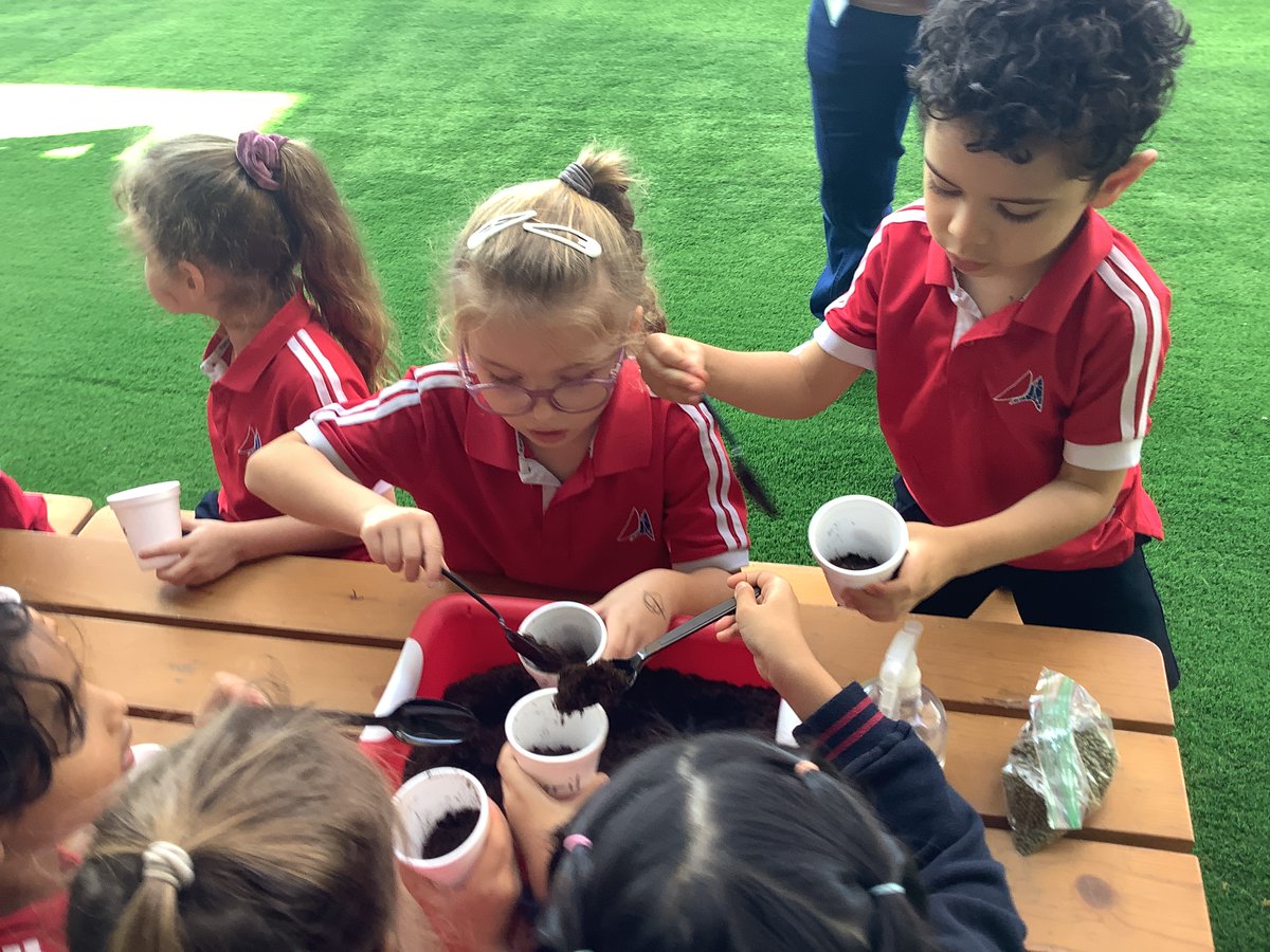 PatrawalaFreny's tweet image. Here&apos;s to many more green thumb moments in our classroom! 🌿🌼 
#KindergartenGardeners #PlantingSeedsOfKnowledge #TeachingWithLove