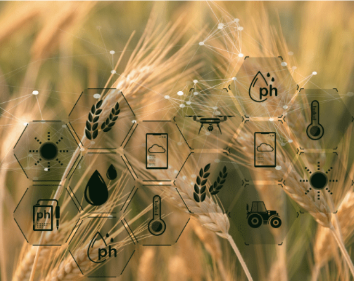 This week Deepak and Emily are bringing you a great episode with Tyler Nigon from Sentera! They are talking about data management from and industry perspective! Sentera provides data and analytics solutions as well has drones and sensors for research trials and crop production.