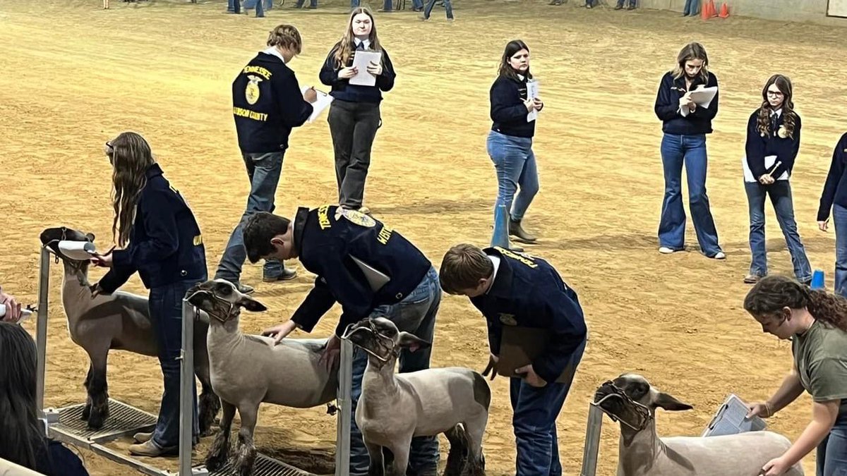 SkyhawkAggie's tweet photo. As always, we enjoyed hosting the @WestTNFFA Livestock Evaluation CDE on the @utmartin campus yesterday! Congratulations to the state qualifiers and all those high school and middle school students who competed. #UTMlovesFFA https://t.co/poAdgsWcEG