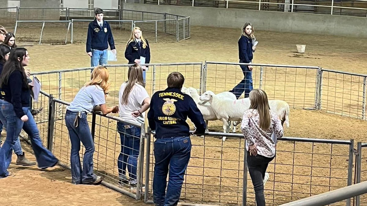 SkyhawkAggie's tweet photo. As always, we enjoyed hosting the @WestTNFFA Livestock Evaluation CDE on the @utmartin campus yesterday! Congratulations to the state qualifiers and all those high school and middle school students who competed. #UTMlovesFFA https://t.co/poAdgsWcEG
