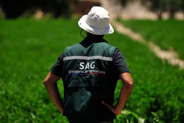 sagchile's tweet image. ¿Quieres conocer más de #Agricultura #Orgánica?
A las 16.00 horas Claudio Cárdenas, jefe del departamento de esta materia de @sagchile, conversará con Diario @eltipografo. Puedes ver la entrevista en facebook.com/eltipografo