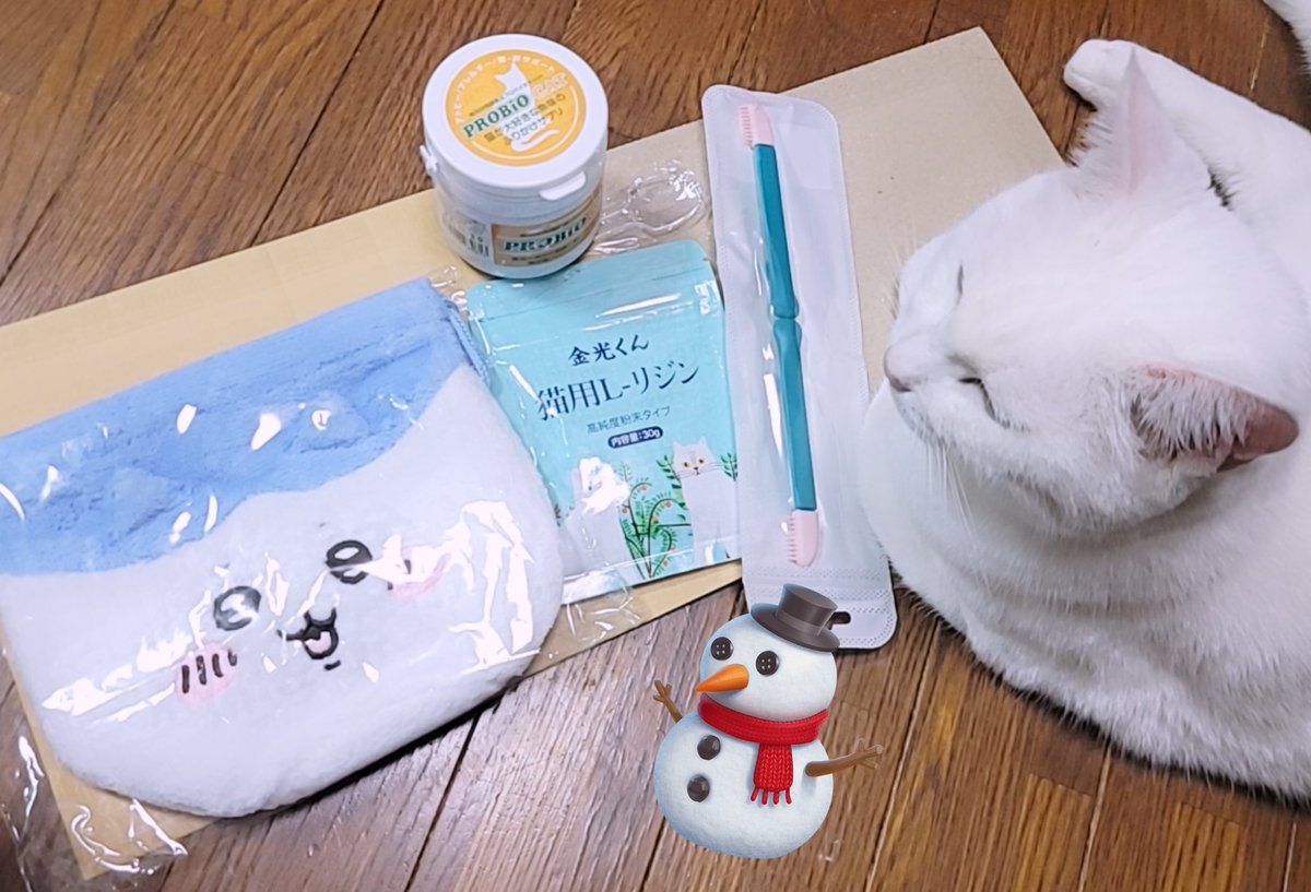 animal_nekozu's tweet image. 遅れましたが、かぺさんからご支援が届きました‼️
ありがとうございます(◍•ᴗ•◍)
お薬っ子(主にoちゃん)セットです。
さっそく配信でバッグを持ち歩いてたら、ごまちと綱引きになりましたʕ •ﻌ•; ʔ

#個人保護猫活動 #支援物資 #Lリジン #目ヤニブラシ #プロバイオ #ハチワレ