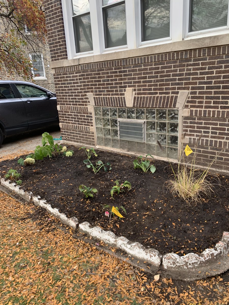 EsperanzaCSChi's tweet photo. One of our participants spruced up the garden outside one of our residential homes with friends and family last weekend. Thanks to Susie, our Georgia home will be in full bloom when spring arrives!🌷 https://t.co/nzfsOWVvEq