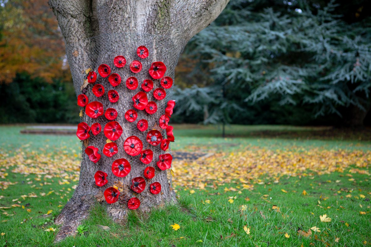 They shall grow not old, as we that are left grow old:
Age shall not weary them, nor the years condemn.
At the going down of the sun and in the morning
We will remember them.

#wearedukies #dukies #doyrms