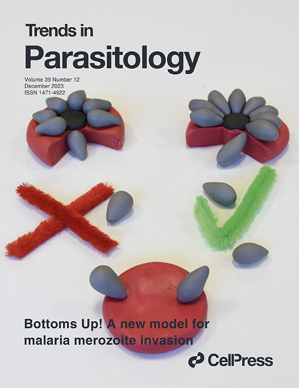 TrendsParasitol's tweet image. Our 2023 Dec issue bit.ly/2N9R8Es reviews malaria merozoite invasion, trypanosome &amp;amp; complement, Trichomonas persistent infection, schistosomiasis hotspot, light pollution &amp;amp; aquatic parasites, artemisinin resistance, protozoan population dynamics, tick salivary glycans...