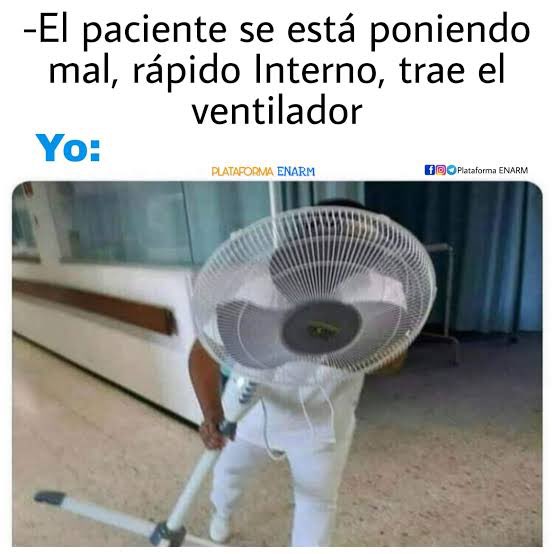 Mi primera chamba versión MIP 🤠