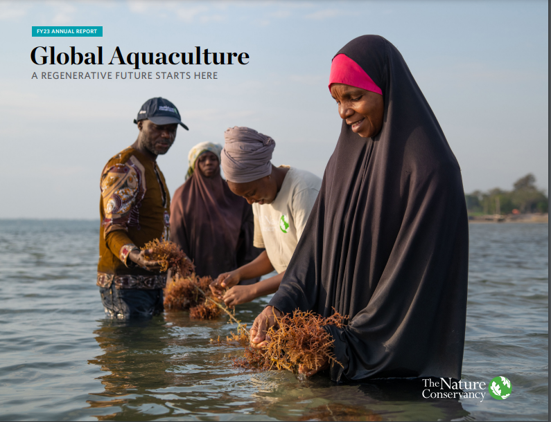 Global Seaweed Coalition tweet media