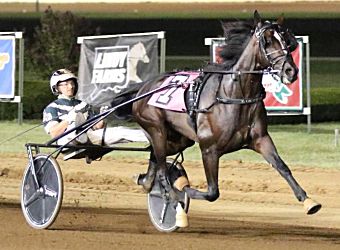 USTrotting's tweet photo. Karl improves position in Hambletonian Society/Breeders Crown poll
Read now https://t.co/wzUKKefqre
@Breeders_Crown @NancyTakter
๐ธ Amanda Stephens
#harnessracing https://t.co/CgUhWSxhlK
