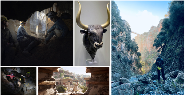 Lapworth Museum of Geology tweet media